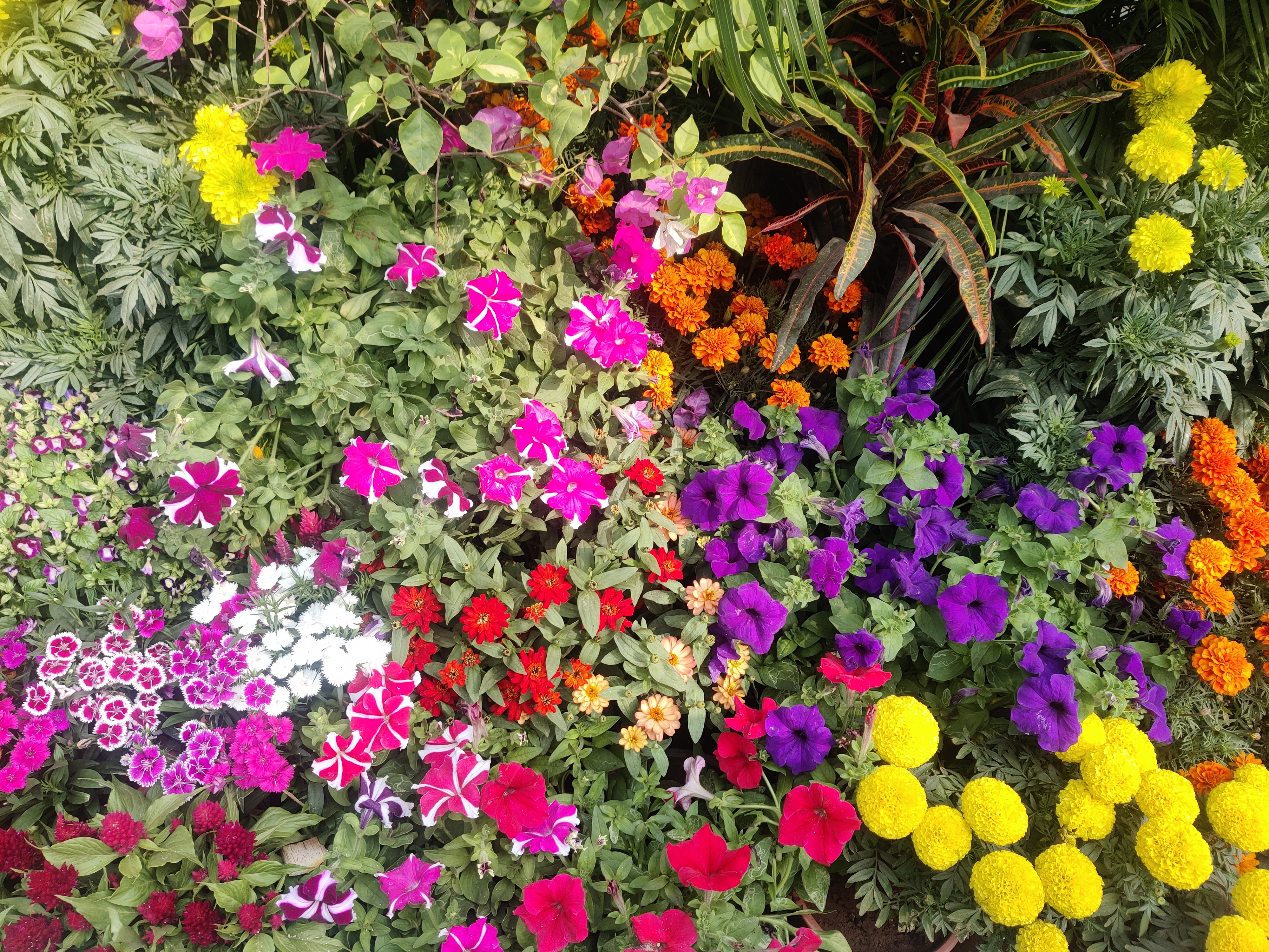 Himayat Bagh